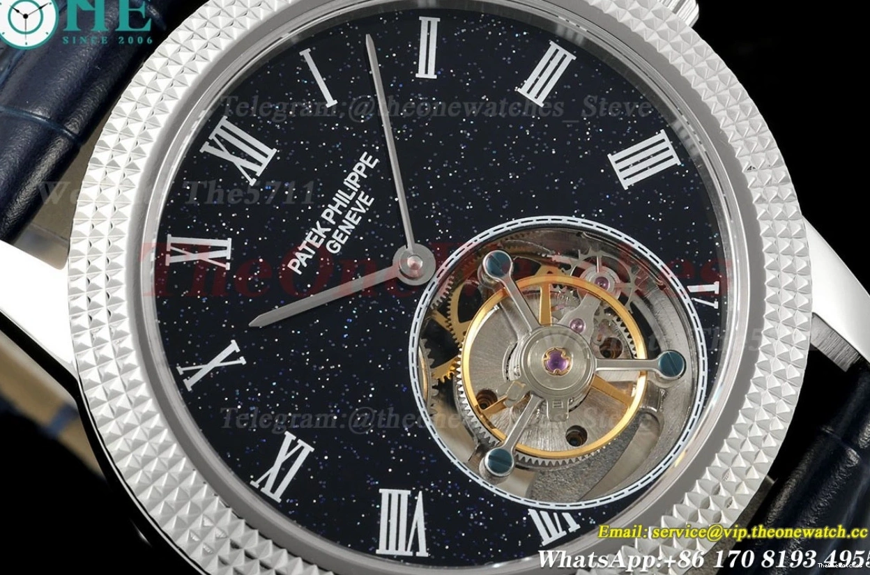 Sky Dial 42mm SS Complications Tourb RMSF LE Starry 0420